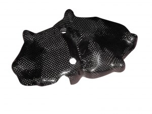 Kawasaki ZX 6 R 09-starter cover